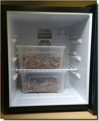 Minikühlschrank