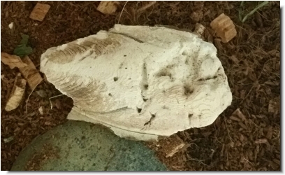 Sepiaschale